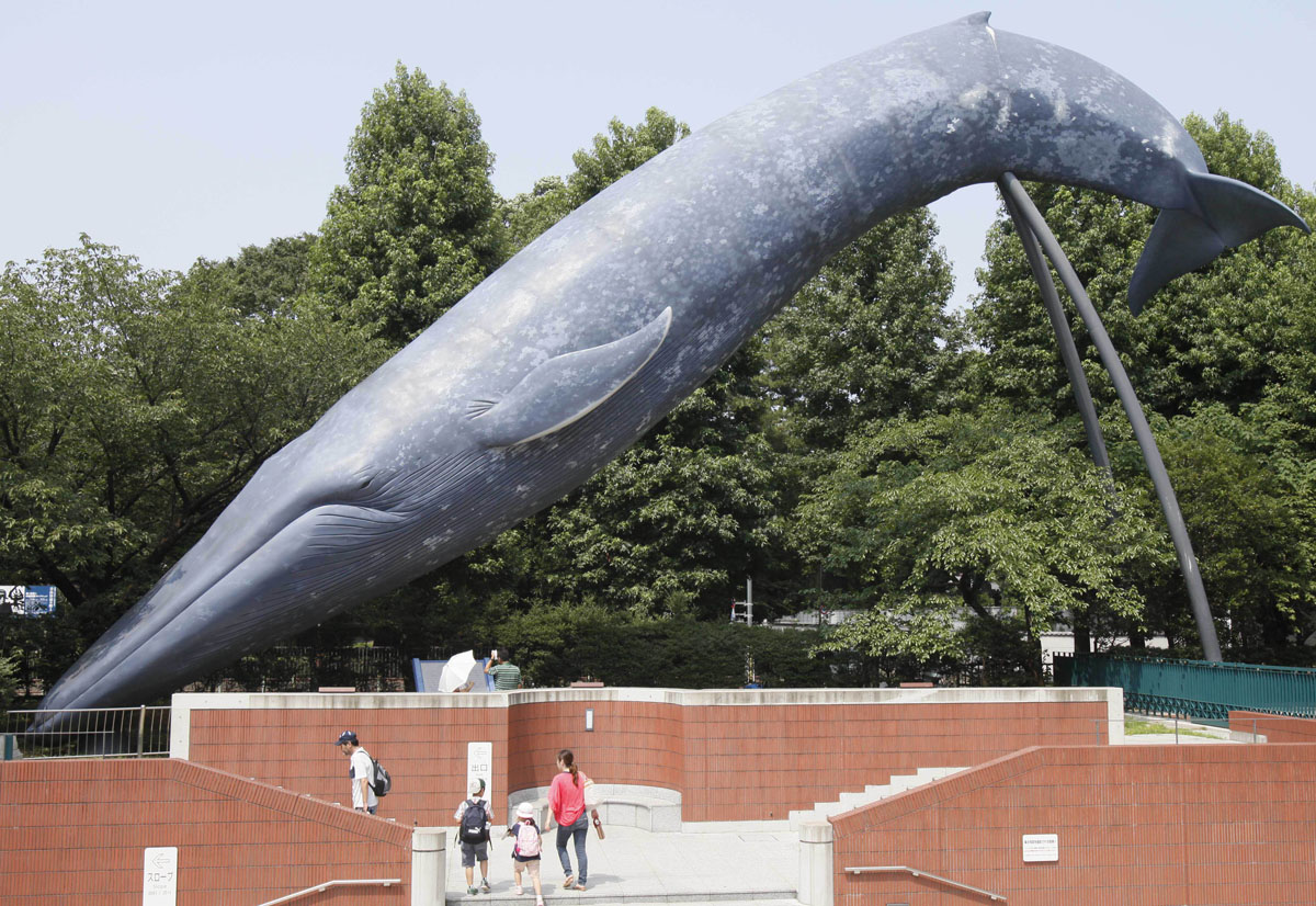 Blue Whale in Ueno Park - July 19, 2013